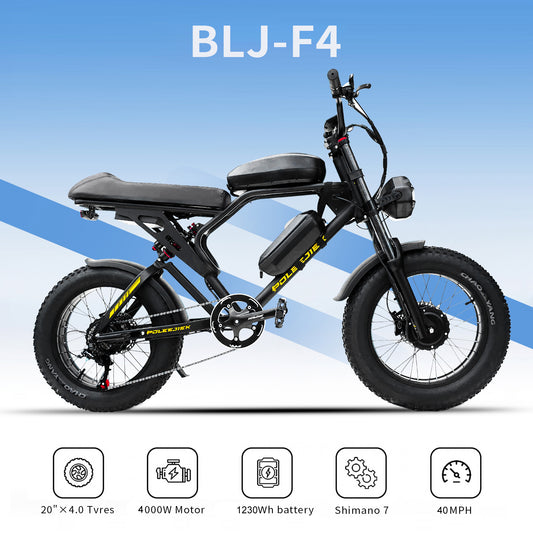 POLEEJIEK BLJ-F4 All-Terrain Ebike