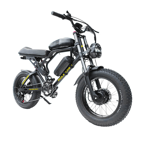 POLEEJIEK BLJ-F4 All-Terrain Ebike