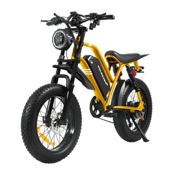Electric Dirt Bike for Adults & Teens, Peak-1500W Electric Bike 48V 20Ah Battery, 20" Fat Tire Off-Road Ebike, 7-Speed E-bike 25MPH Brushless Motor Dual Hydraulic Brakes,NFC Lock for City/School Commuting