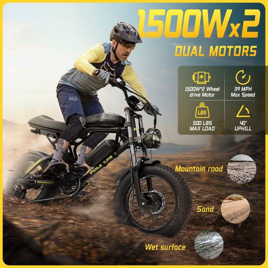 POLEEJIEK RT F4 ADVENTURE E BIKE