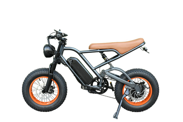 CUSTOM 36V 350W BLJ-1601 Ebike for Kids