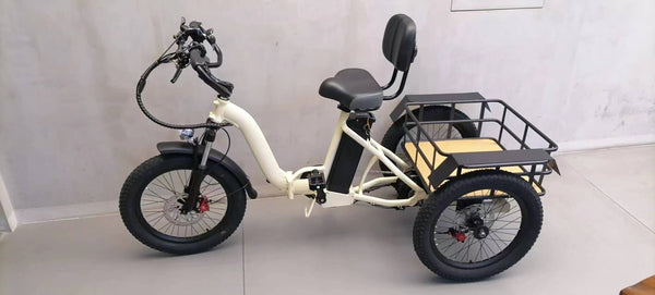 POLEEJIEK 48V 750W Electric Tricycle with 15Ah Battery