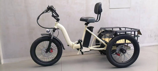 POLEEJIEK 48V 750W Electric Tricycle with 15Ah Battery